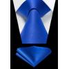 imageHISDERN Mens Ties Solid Color Ties for Men Formal Necktie with Pocket Square Set Satin Silk Neck Tie Handkerchiefs SetCblue Royal