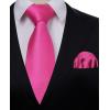 imageHISDERN Mens Ties Solid Color Ties for Men Formal Necktie with Pocket Square Set Satin Silk Neck Tie Handkerchiefs SetEpink Hot
