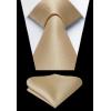 imageHISDERN Mens Ties Solid Color Ties for Men Formal Necktie with Pocket Square Set Satin Silk Neck Tie Handkerchiefs SetFchampagne Beige