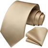 imageHISDERN Mens Ties Solid Color Ties for Men Formal Necktie with Pocket Square Set Satin Silk Neck Tie Handkerchiefs SetFchampagne Beige