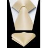 imageHISDERN Mens Ties Solid Color Ties for Men Formal Necktie with Pocket Square Set Satin Silk Neck Tie Handkerchiefs SetFchampagne Bright
