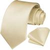 imageHISDERN Mens Ties Solid Color Ties for Men Formal Necktie with Pocket Square Set Satin Silk Neck Tie Handkerchiefs SetFchampagne Bright