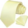 imageHISDERN Mens Ties Solid Color Ties for Men Formal Necktie with Pocket Square Set Satin Silk Neck Tie Handkerchiefs SetGyellow