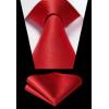 imageHISDERN Mens Ties Solid Color Ties for Men Formal Necktie with Pocket Square Set Satin Silk Neck Tie Handkerchiefs SetIred