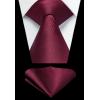 imageHISDERN Mens Ties Solid Color Ties for Men Formal Necktie with Pocket Square Set Satin Silk Neck Tie Handkerchiefs SetIred Burgundy