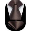 imageHISDERN Mens Ties Solid Color Ties for Men Formal Necktie with Pocket Square Set Satin Silk Neck Tie Handkerchiefs SetJbrown