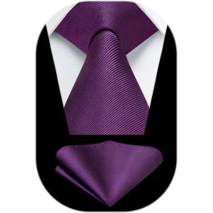 imageHISDERN Mens Ties Solid Color Ties for Men Formal Necktie with Pocket Square Set Satin Silk Neck Tie Handkerchiefs SetDpurple Dark