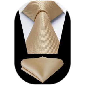 imageHISDERN Mens Ties Solid Color Ties for Men Formal Necktie with Pocket Square Set Satin Silk Neck Tie Handkerchiefs SetFchampagne Beige