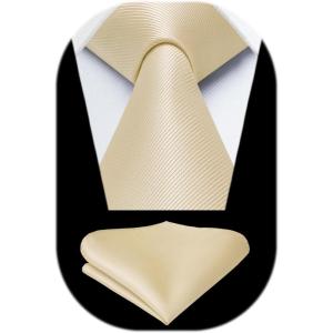 imageHISDERN Mens Ties Solid Color Ties for Men Formal Necktie with Pocket Square Set Satin Silk Neck Tie Handkerchiefs SetFchampagne Bright