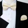 imageHISDERN Bow Ties for Men PreTied Bow Tie Floral Paisley Handkerchief Classic Formal Bowtie and Pocket Square Cufflinks Set06beige Paisley