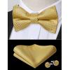 imageHISDERN Bow Ties for Men PreTied Bow Tie Floral Paisley Handkerchief Classic Formal Bowtie and Pocket Square Cufflinks Set06gold Plaid