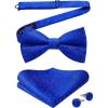 02-paisley Royal Blue