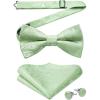 03-sage Green Paisley