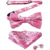 04-pink Paisley