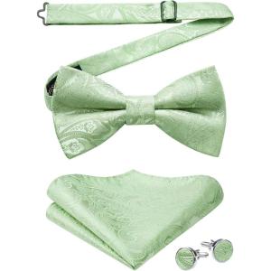 imageHISDERN Bow Ties for Men PreTied Bow Tie Floral Paisley Handkerchief Classic Formal Bowtie and Pocket Square Cufflinks Set03sage Green Paisley