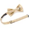 imageHISDERN Mens Bow Ties Solid Color Pre Tied Bowtie and Pocket Square Set Classic Formal Tuxedo Bowties for Wedding Party03champagne