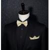imageHISDERN Mens Bow Ties Solid Color Pre Tied Bowtie and Pocket Square Set Classic Formal Tuxedo Bowties for Wedding PartyBchampagne