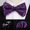 imageHISDERN Bow Ties for Men Solid Mens Bow Tie Pretied Adjustable Bowtie and Pocket Square Cufflinks Set for Wedding Party PromG4 Dark Purple Paisley