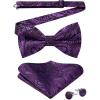 G4 Dark Purple Paisley