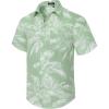 C1-sage Green
