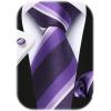 imageHISDERN Pre Tied Ties for Men Paisley Solid Striped Necktie and Pocket Square Cufflinks Set Formal Wedding Neck TieCpurpleStriped
