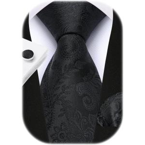 imageHISDERN Pre Tied Ties for Men Paisley Solid Striped Necktie and Pocket Square Cufflinks Set Formal Wedding Neck TieB2blackPaisley
