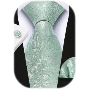 imageHISDERN Pre Tied Ties for Men Paisley Solid Striped Necktie and Pocket Square Cufflinks Set Formal Wedding Neck TieBlight GreenPaisley