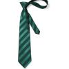 imageHISDERN Mens Tie Striped Ties and Handkerchief Set Business Formal Woven Pocket Square Wedding College Stripe NecktieCgreen