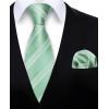 imageHISDERN Mens Tie Striped Ties and Handkerchief Set Business Formal Woven Pocket Square Wedding College Stripe NecktieCgreen2