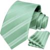 imageHISDERN Mens Tie Striped Ties and Handkerchief Set Business Formal Woven Pocket Square Wedding College Stripe NecktieCgreen2