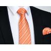 imageHISDERN Mens Tie Striped Ties and Handkerchief Set Business Formal Woven Pocket Square Wedding College Stripe NecktieCorange
