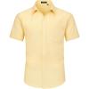 Light Yellow