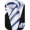 imageHISDERN Mens Tie Set Stripe Plaid Ties with Pocket Square Cufflinks Formal Business Silk Necktie Handkerchief for MenWhite Blue