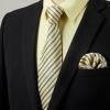 imageHISDERN Mens Dress Shirt and Tie Handkerchief Set Classic Long Sleeve Shirts Matching Ties Formal Button Down ShirtsYellow2Striped