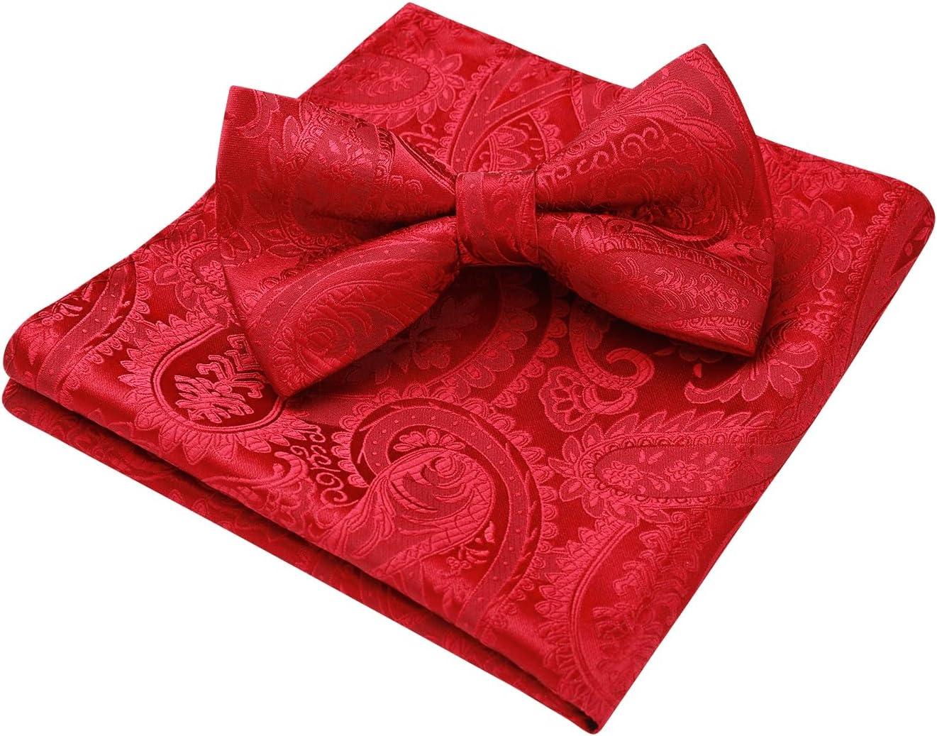 imageHISDERN Bow Ties for Men Paisley Floral Pretied Bowtie Pocket Square Set Mens Formal Bow Ties Wedding PartyCred 8
