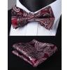 imageHISDERN Bow Ties for Men Paisley Floral Pretied Bowtie Pocket Square Set Mens Formal Bow Ties Wedding PartyCred 1