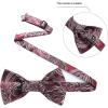 imageHISDERN Bow Ties for Men Paisley Floral Pretied Bowtie Pocket Square Set Mens Formal Bow Ties Wedding PartyCred 1