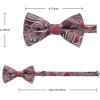 imageHISDERN Bow Ties for Men Paisley Floral Pretied Bowtie Pocket Square Set Mens Formal Bow Ties Wedding PartyCred 7