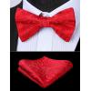 imageHISDERN Bow Ties for Men Paisley Floral Pretied Bowtie Pocket Square Set Mens Formal Bow Ties Wedding PartyCred 8