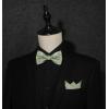 imageHISDERN Bow Ties for Men Paisley Floral Pretied Bowtie Pocket Square Set Mens Formal Bow Ties Wedding PartySage Green Paisley11