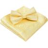 imageHISDERN Bow Ties for Men Paisley Floral Pretied Bowtie Pocket Square Set Mens Formal Bow Ties Wedding PartyYellow