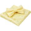 imageHISDERN Bow Ties for Men Paisley Floral Pretied Bowtie Pocket Square Set Mens Formal Bow Ties Wedding PartyYellow1