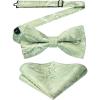 Sage Green Paisley-11