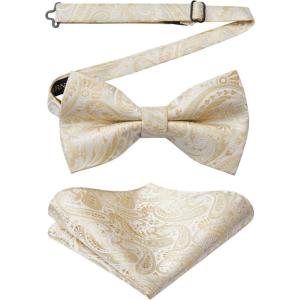 imageHISDERN Bow Ties for Men Paisley Floral Pretied Bowtie Pocket Square Set Mens Formal Bow Ties Wedding PartyChampagne
