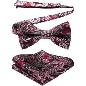 imageHISDERN Bow Ties for Men Paisley Floral Pretied Bowtie Pocket Square Set Mens Formal Bow Ties Wedding PartyCred 1