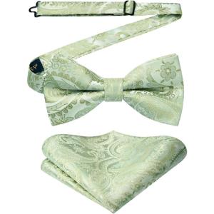 imageHISDERN Bow Ties for Men Paisley Floral Pretied Bowtie Pocket Square Set Mens Formal Bow Ties Wedding PartySage Green Paisley11