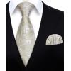 imageHISDERN Mens Tie Set Classic Woven Ties and Pocket Square Cufflinks Set Formal Business Wedding Neckties HandkerchiefEchampagne