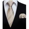 imageHISDERN Ties for Men Stripe Plaid Tie Classic Necktie Pocket Square Cufflinks Set for Formal Wedding Business PartyChampagne