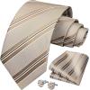 imageHISDERN Ties for Men Stripe Plaid Tie Classic Necktie Pocket Square Cufflinks Set for Formal Wedding Business PartyChampagne