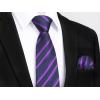 imageHISDERN Ties for Men Stripe Plaid Tie Classic Necktie Pocket Square Cufflinks Set for Formal Wedding Business PartyDark Purple
